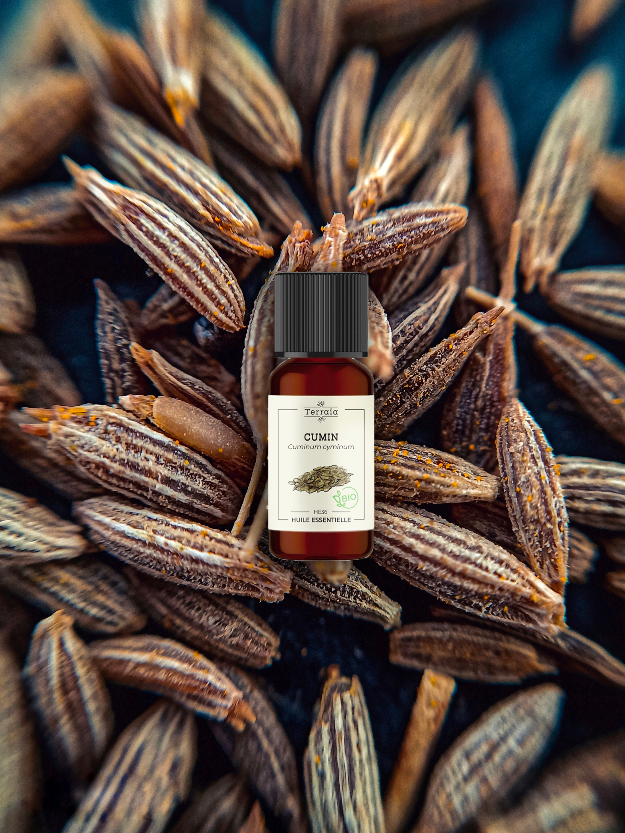 Huile essentielle de Cumin