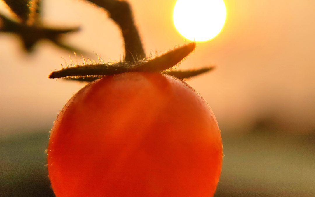 Les fruits & légumes aident-ils à bronzer ?